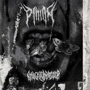 Knuckle Dragger Split - EP