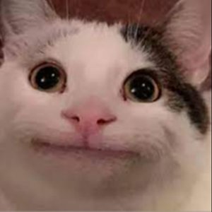 Belupacito