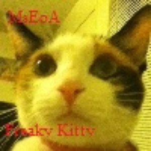 'Freaky Kitty EP' için resim