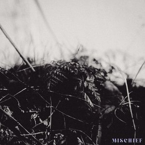 Mischief