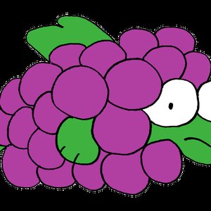 Fishgrape 的头像