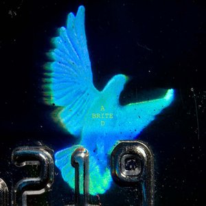 Brite Aid 的头像