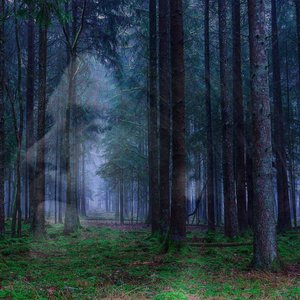 Hypnagogia - Single