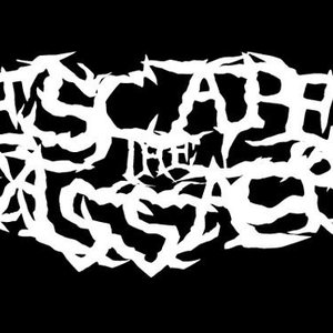 Image for 'Escape The Massacre'