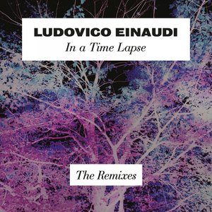 'In a Time Lapse (The Remixes)' için resim