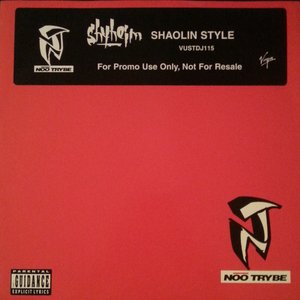Shaolin Style