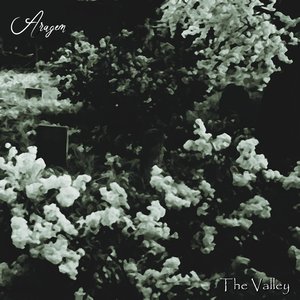 The Valley... - Single