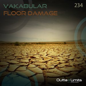 Floor Damage