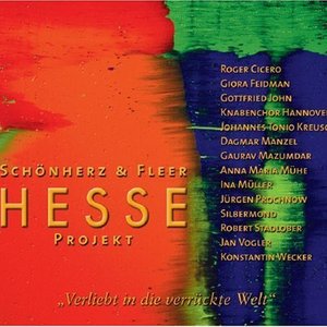 “Hesse Projekt Vol. 2: Verliebt in die verrückte Welt”的封面