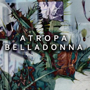 Atropa Belladonna