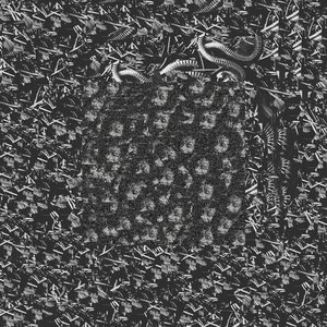 primary data resources for human enhancement through the pleasures of self-mutating flesh and steel hybridation process