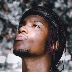 Whoismedicate 的头像