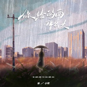 你给的雨那么大 - Single