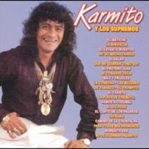 Karmito 的头像