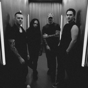 Avatar for Solely Veil