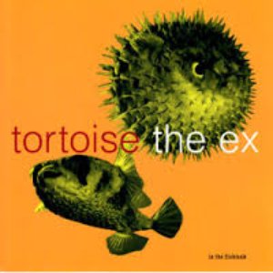 The Ex, Tortoise 的头像