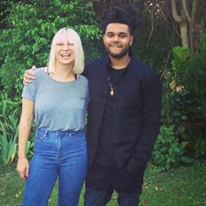 Sia, The Weeknd, Diplo 的头像