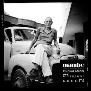 Monkey Safari - Liverpool - Zortam Music