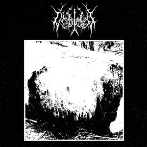 Obsidian Forest