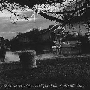 I Should Have Drowned Myself When I Had The Chance (Demo)