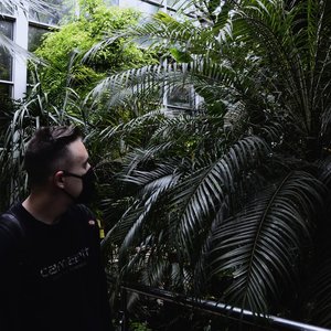 ∂jgor 的头像
