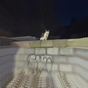 SYM [Explicit]