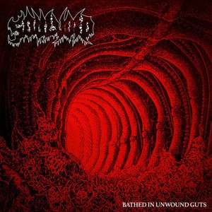Bathed In Unwound Guts