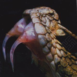 Excretory Dæmonolatreia