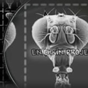 Avatar for enichkin project