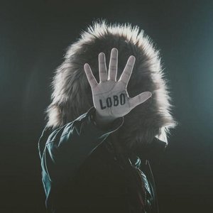 Mira, un Lobo! 的头像