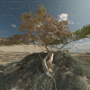 PINE - EP