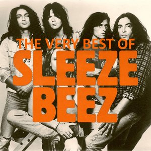 The Very Best Of Sleeze Beez