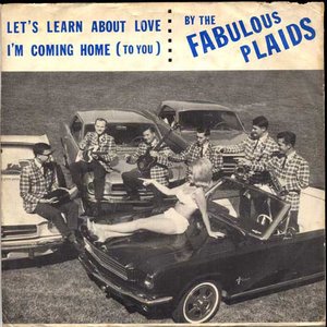 The Fabulous Plaids 的头像