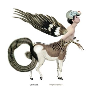 La Intrusa