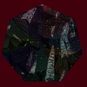 Sette studi fra quiete ed inquietudine