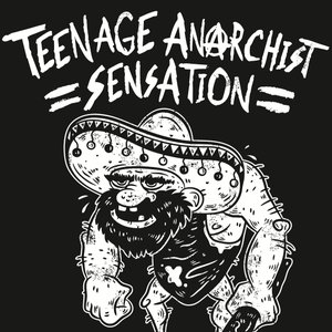 Avatar di Teenage Anarchist Sensation