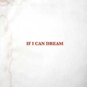 If I Can Dream