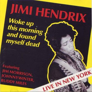 “Jimi Hendrix (feat. Jim Morrison, Buddy Miles & Johnny Winter)”的封面