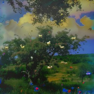 WONDERLAND