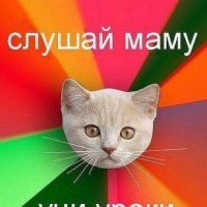 Avatar for Фруктовая Петля