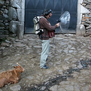 Avatar for Pali Meursault