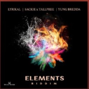Elements Riddim