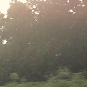Cherub Hand - EP
