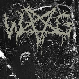 In the Thralls of the Arctic Snow