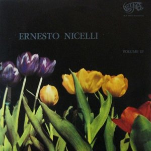 Avatar for Ernesto Nicelli