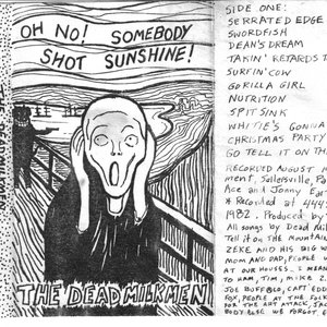 Somebody Shot Sunshine