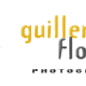 Avatar de Guillermo Flores