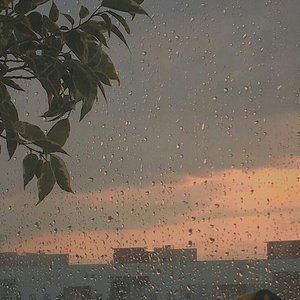 Rain Sound (Ambient Noise)