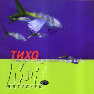 TIXO 的头像