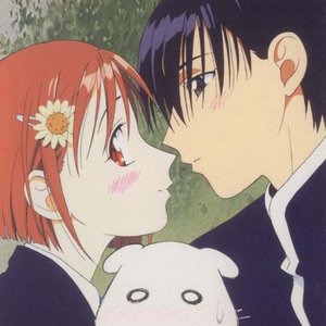 Image for 'Kareshi Kanojo no Jijyo'